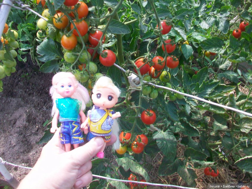 Летние поездки на дачу - 2