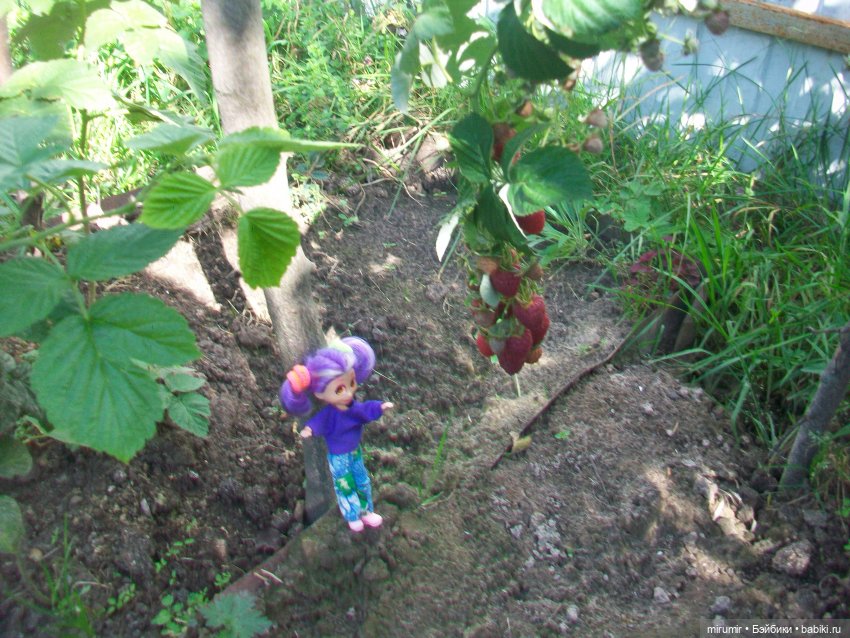 Летние поездки на дачу - 2