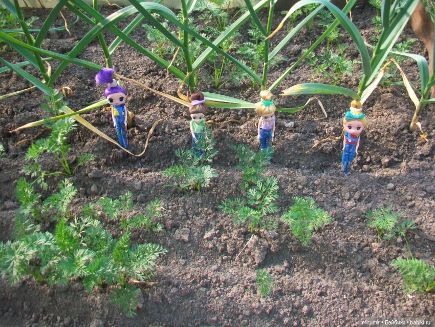 Летние поездки на дачу - 2 (фото 6)