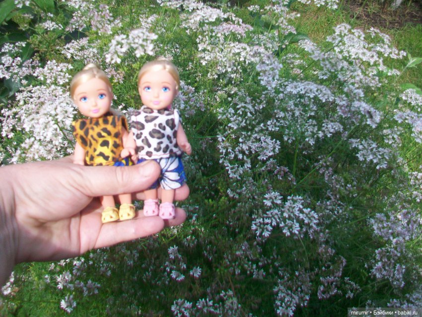 Летние поездки на дачу - 2