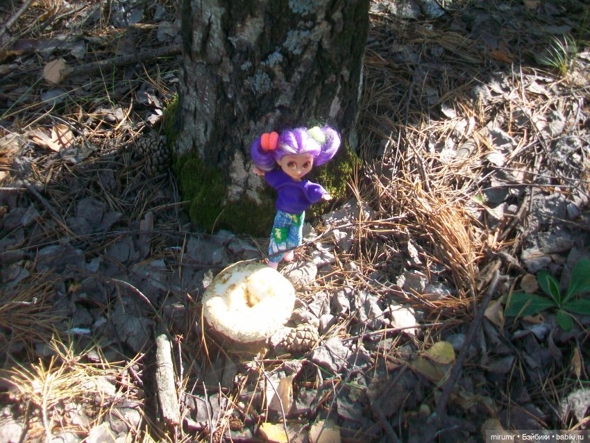 Летние поездки на дачу - 2