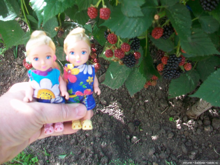 Летние поездки на дачу - 2