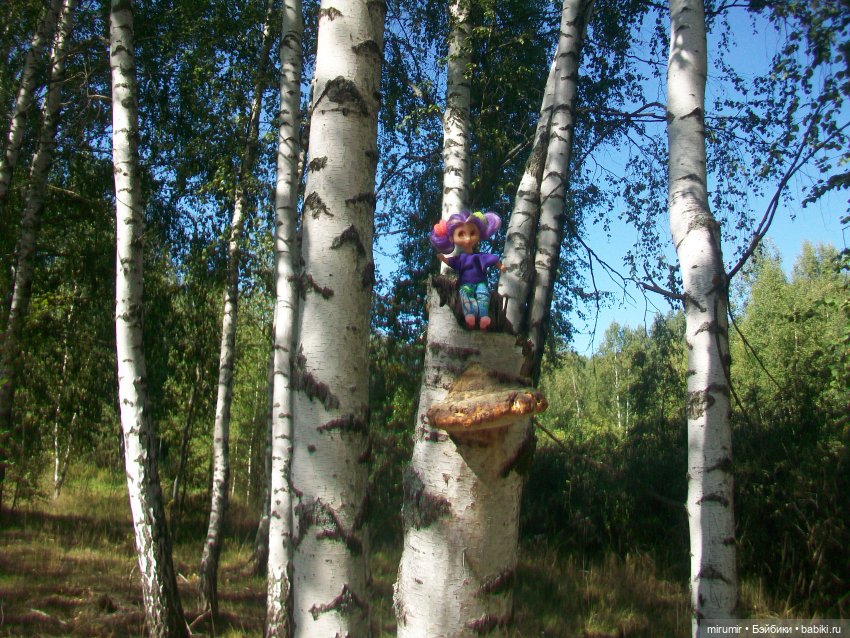 Летние поездки на дачу - 2