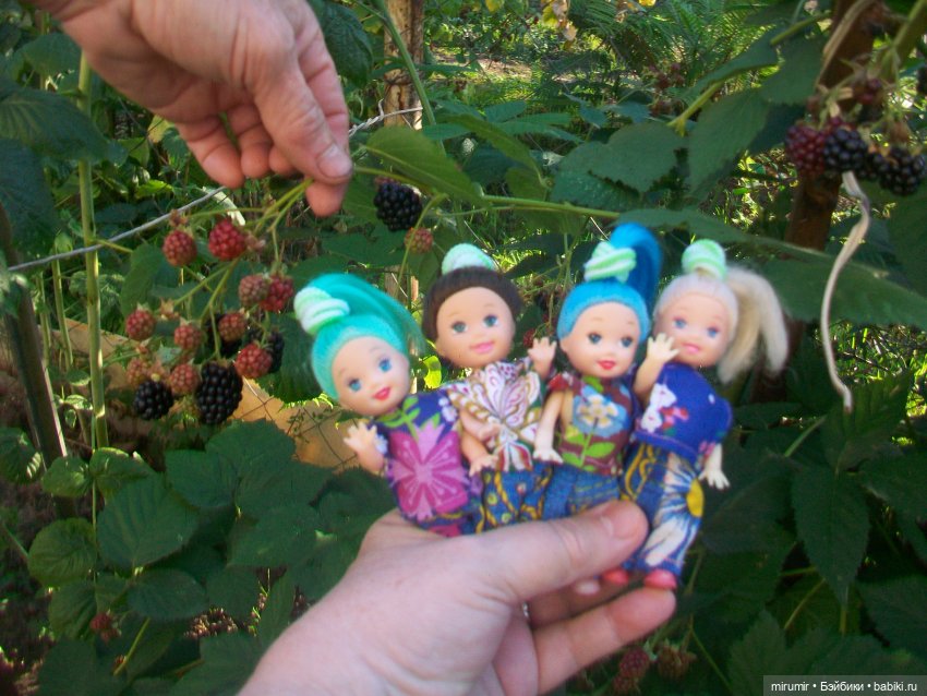 Летние поездки на дачу - 2