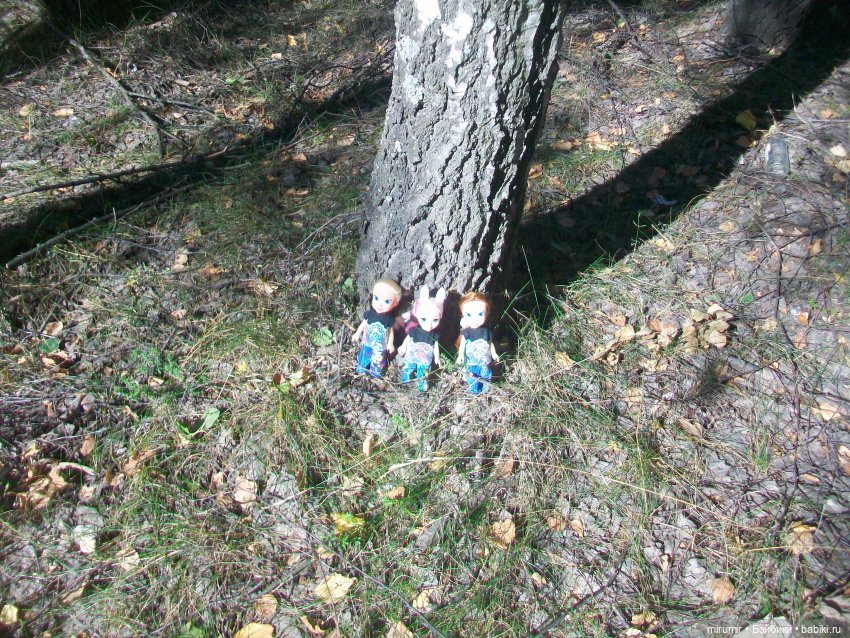 Летние поездки на дачу - 2