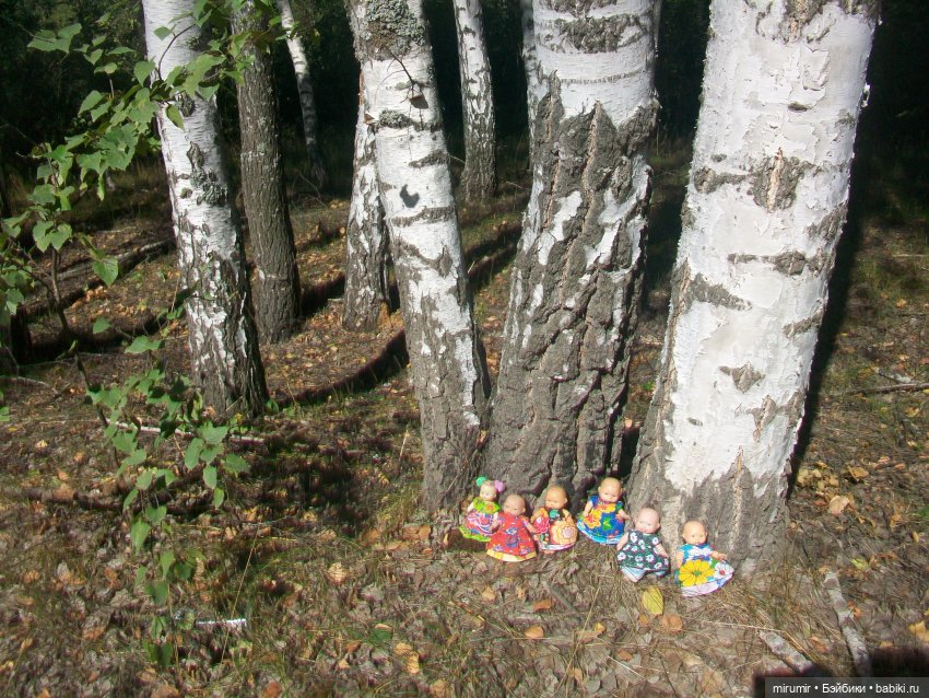 Летние поездки на дачу - 2