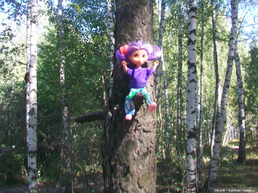 Летние поездки на дачу - 2