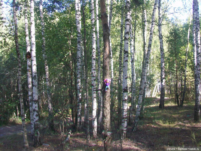 Летние поездки на дачу - 2