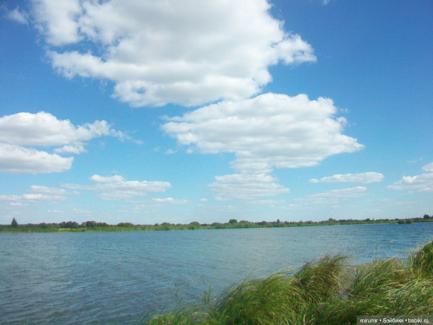 Летние поездки на дачу - 2