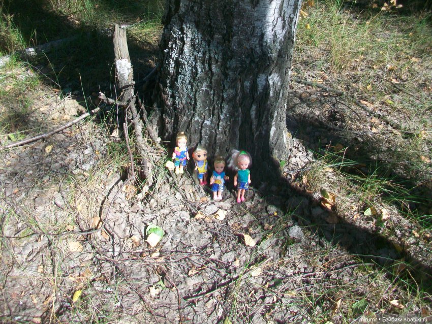 Летние поездки на дачу - 2