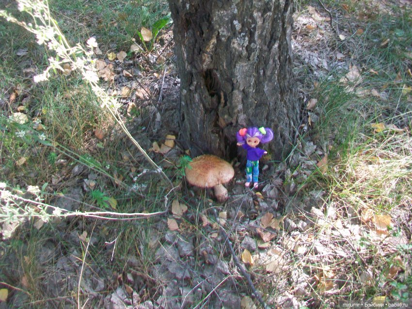 Летние поездки на дачу - 2