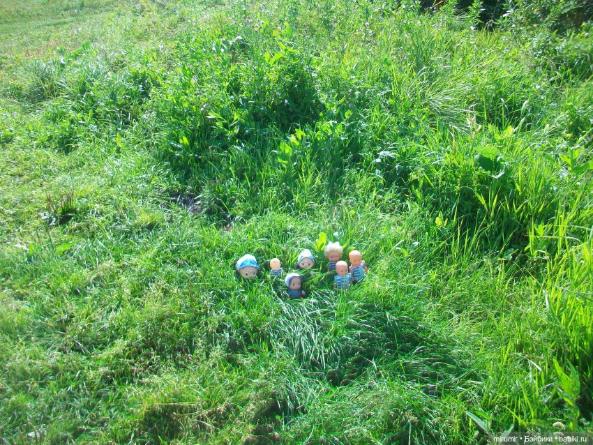 Летние поездки на дачу - 2