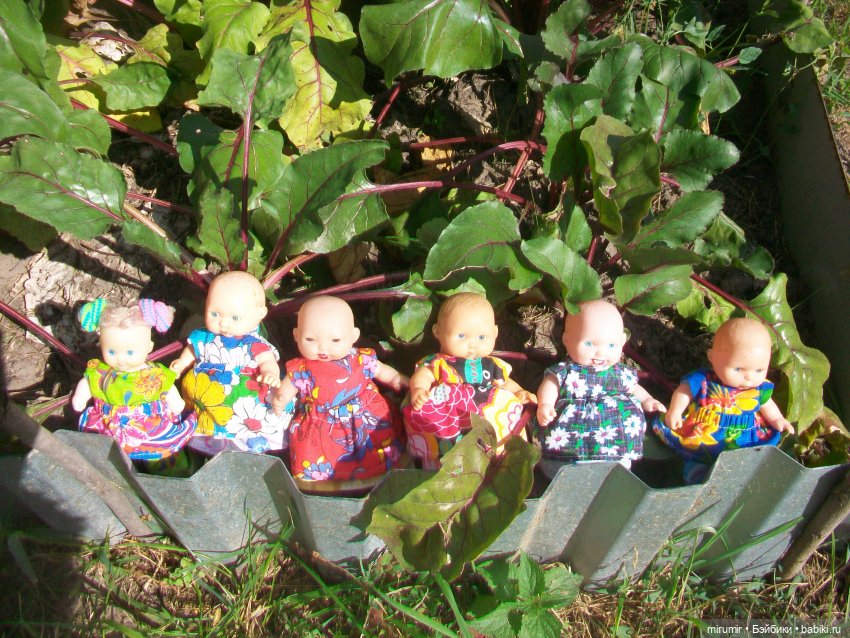 Летние поездки на дачу - 2