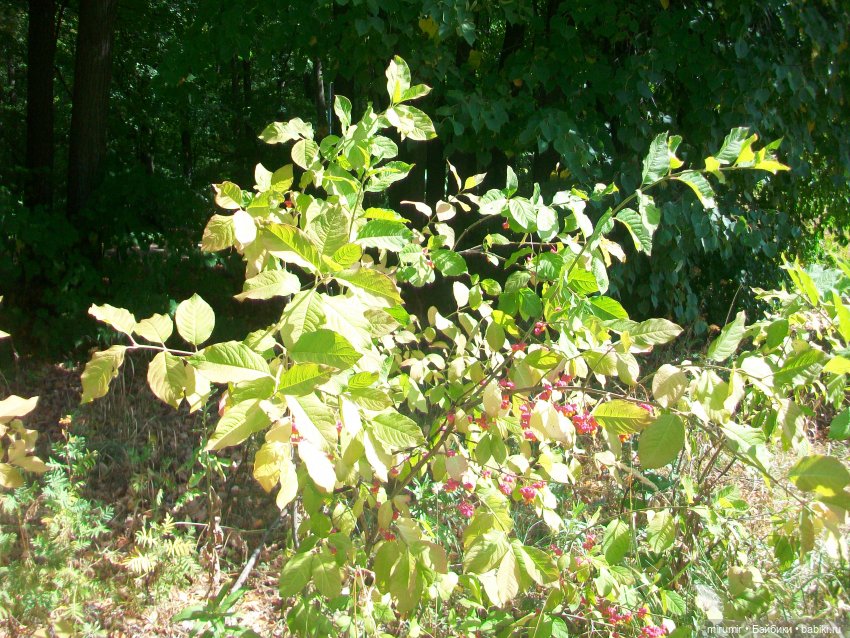 Посидели с книжкой в парке