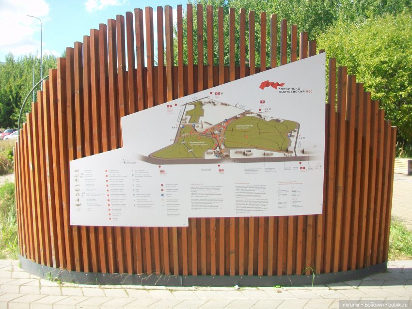 Посидели с книжкой в парке