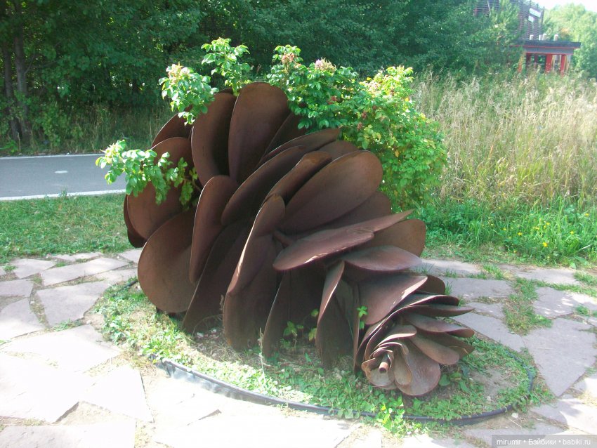 Посидели с книжкой в парке (фото 5)