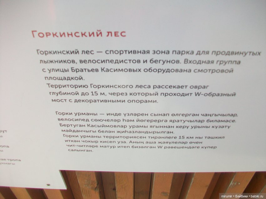 Посидели с книжкой в парке (фото 2)