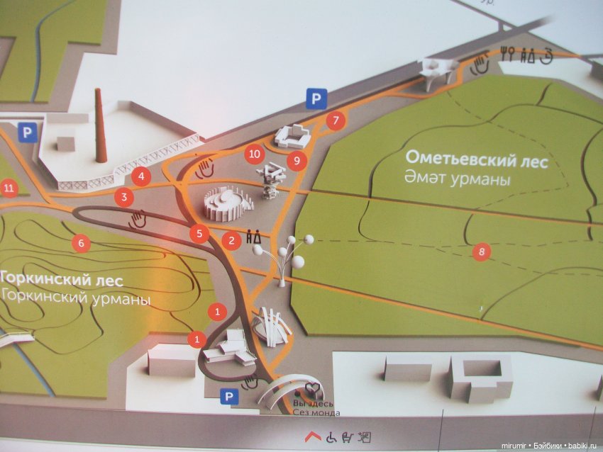 Посидели с книжкой в парке (фото 4)