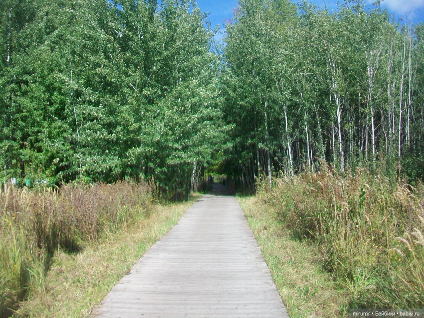 Посидели с книжкой в парке