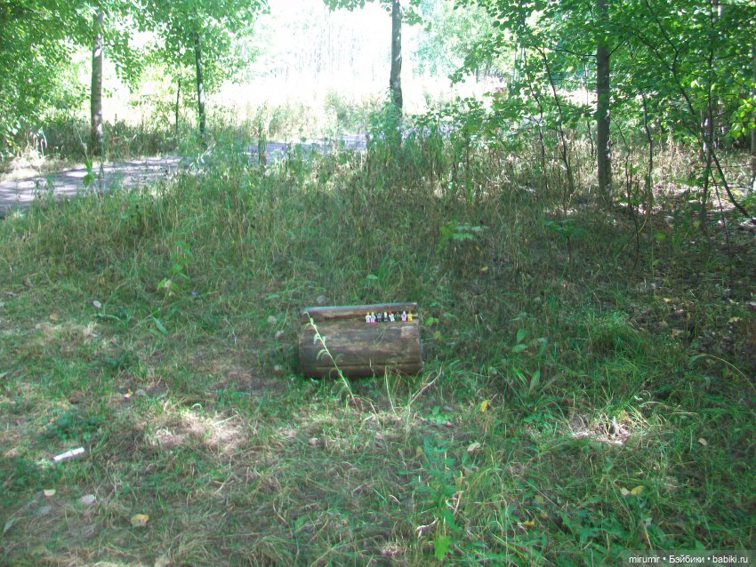 Посидели с книжкой в парке