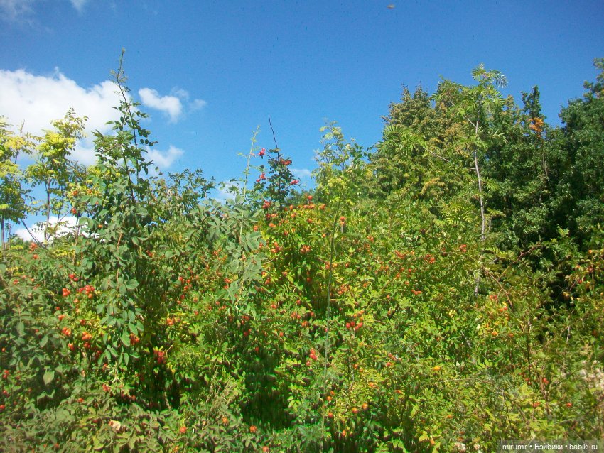 Посидели с книжкой в парке