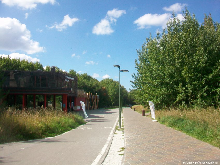 Посидели с книжкой в парке (фото 6)