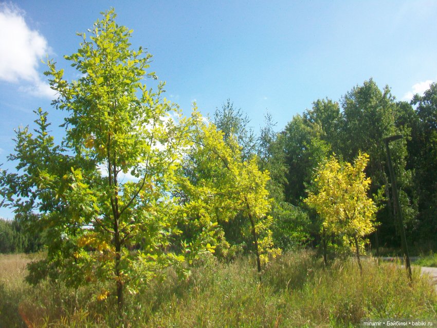Посидели с книжкой в парке
