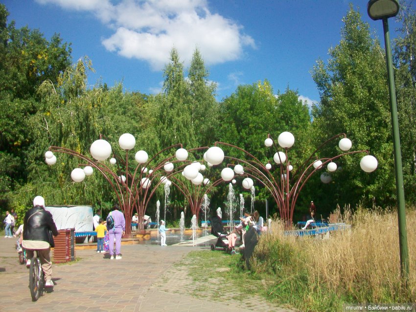 Посидели с книжкой в парке