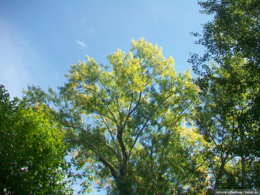 Посидели с книжкой в парке