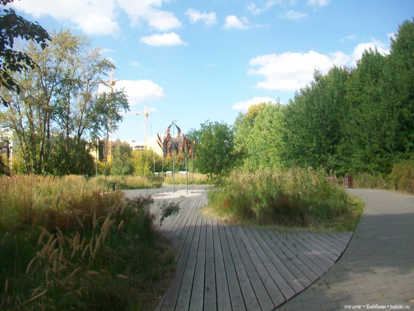 Посидели с книжкой в парке