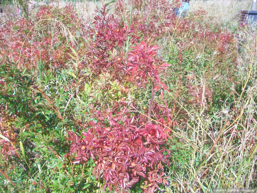 Посидели с книжкой в парке