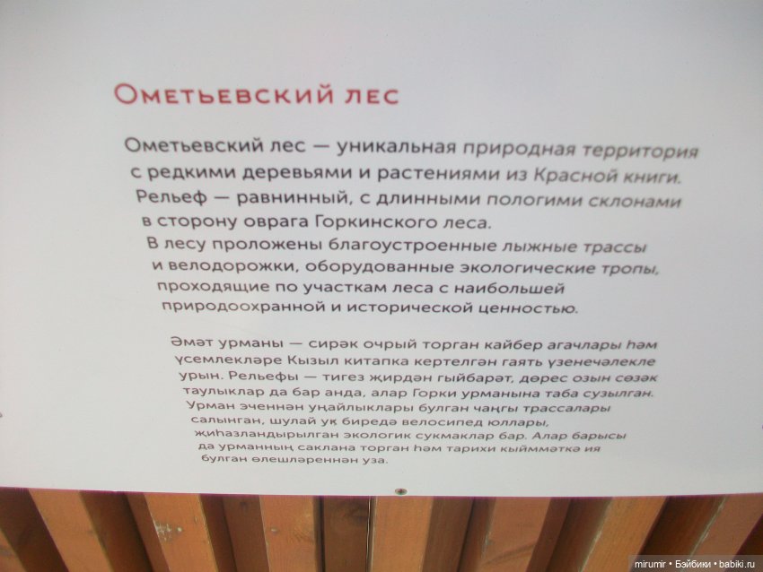 Посидели с книжкой в парке (фото 3)