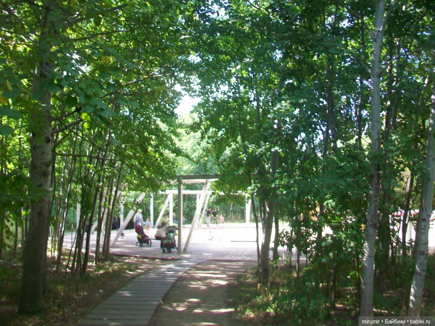 Посидели с книжкой в парке