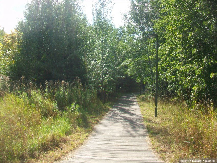 Посидели с книжкой в парке