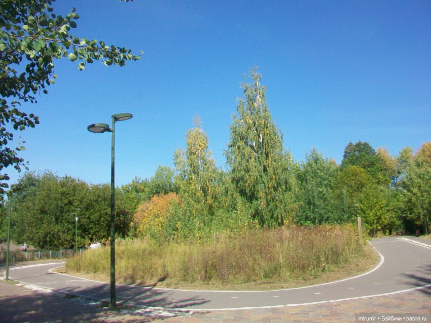 Парковая романтика — Игровые куклы разных производителей (Разное): редкие бренды