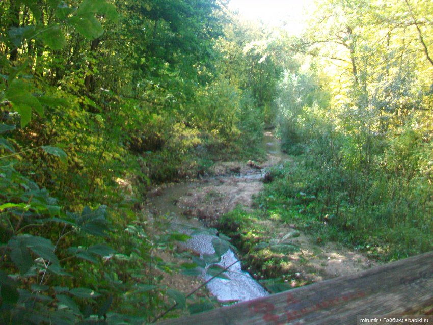 Парковая романтика — Игровые куклы разных производителей (Разное): редкие бренды