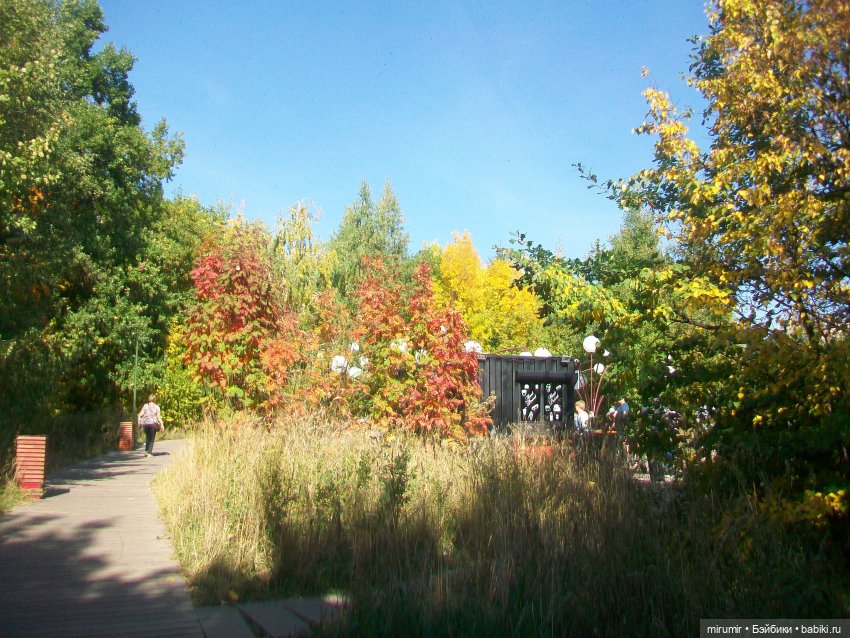 Парковая романтика — Игровые куклы разных производителей (Разное): редкие бренды