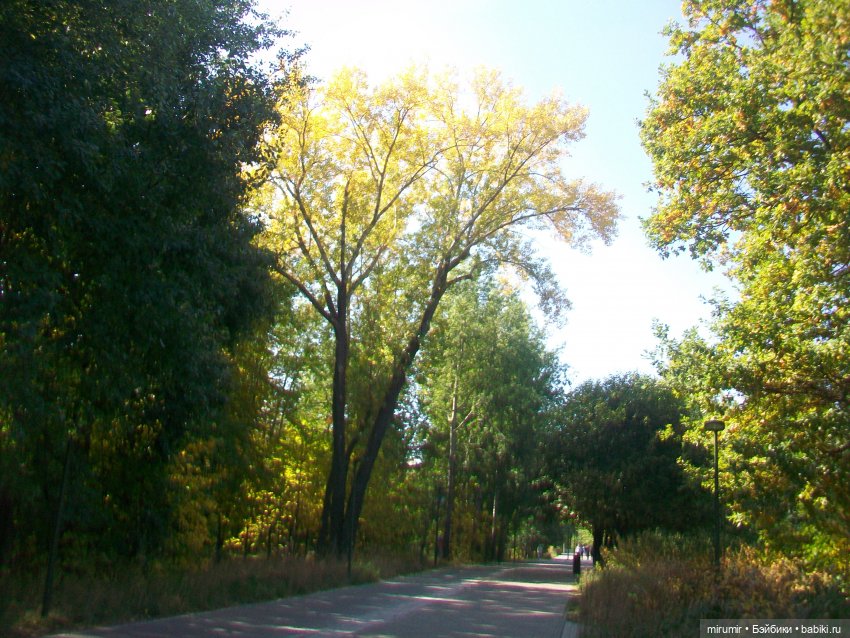 Парковая романтика — Игровые куклы разных производителей (Разное): редкие бренды