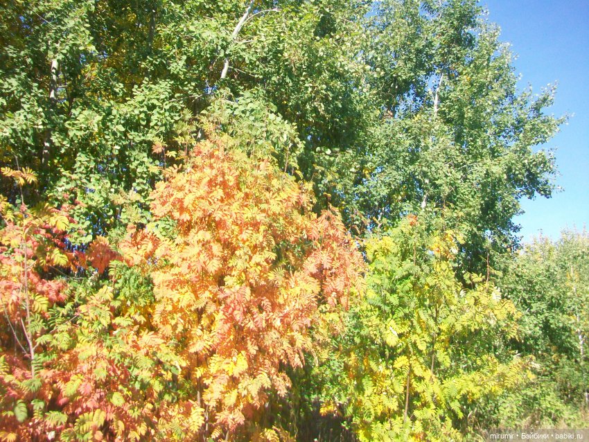 Парковая романтика — Игровые куклы разных производителей (Разное): редкие бренды (фото 7)