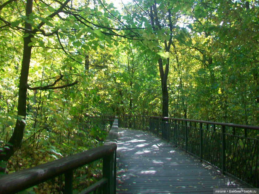 Парковая романтика — Игровые куклы разных производителей (Разное): редкие бренды