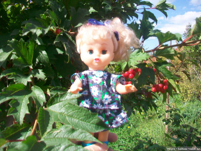 С Днем пожилых людей — Игровые куклы разных производителей (Разное): редкие бренды (фото 4)