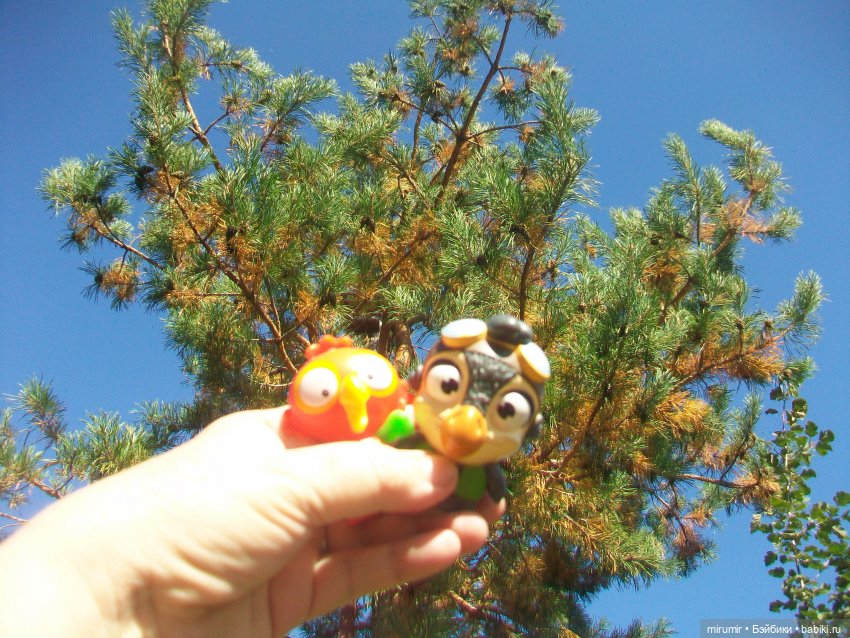 Сентябрьские поездки на дачу - 1