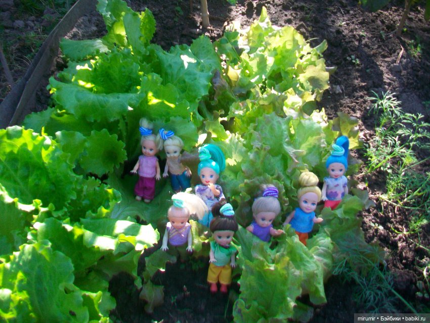 Сентябрьские поездки на дачу - 1