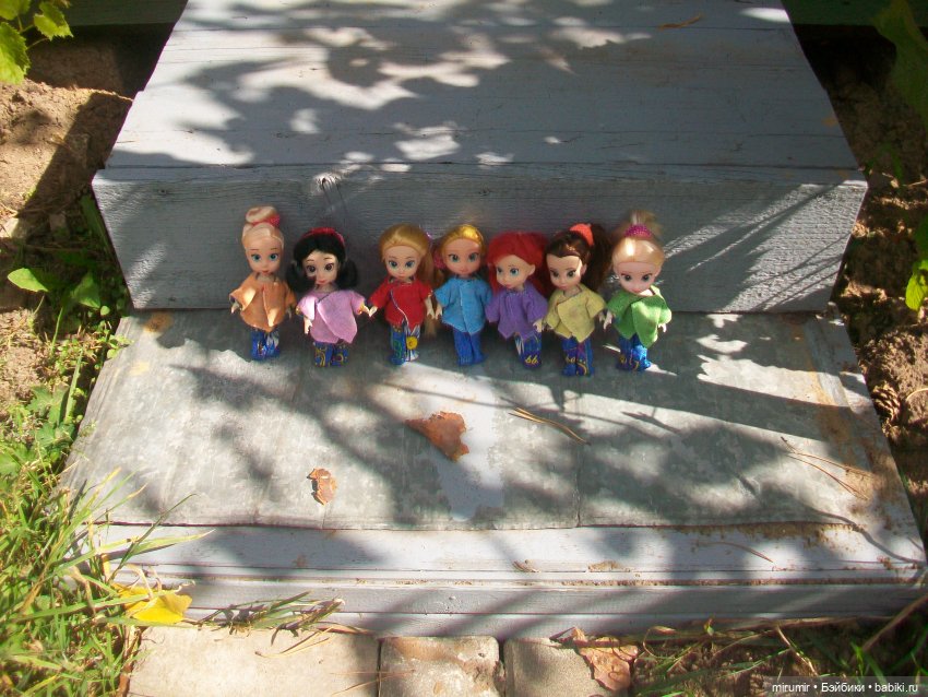 Сентябрьские поездки на дачу - 1 (фото 9)