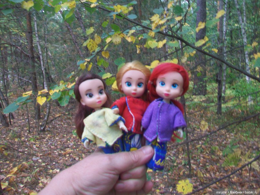 Сентябрьские поездки на дачу - 1