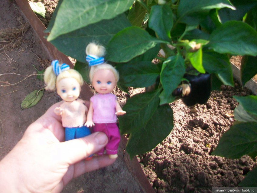 Сентябрьские поездки на дачу - 1