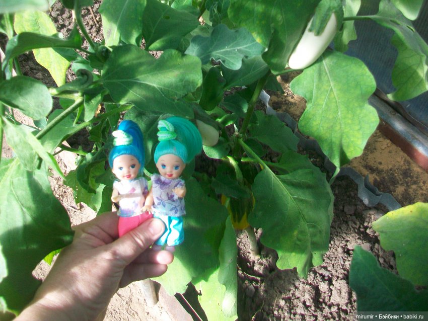 Сентябрьские поездки на дачу - 1