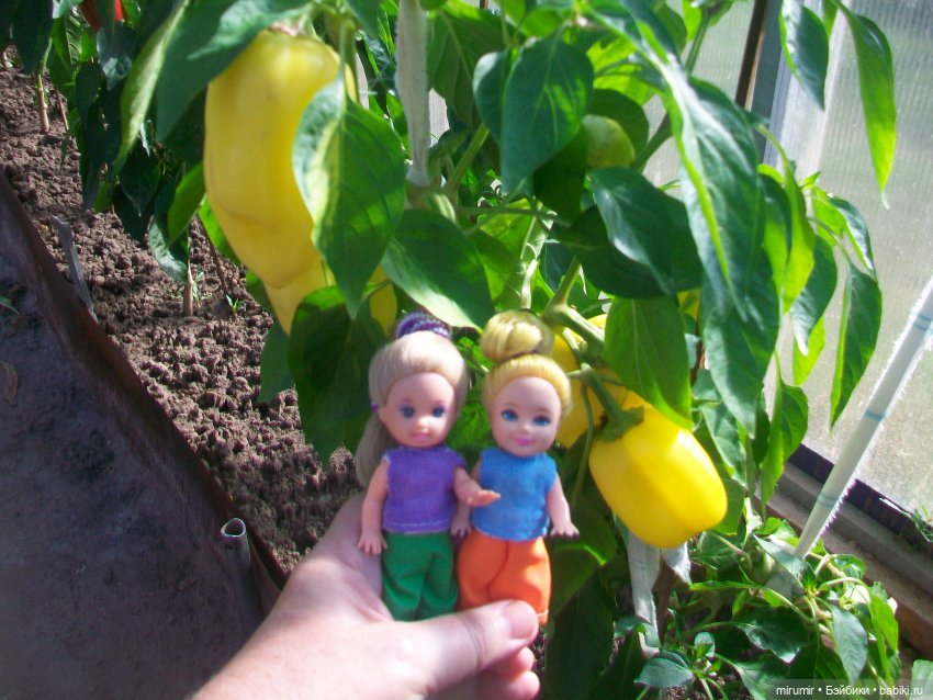 Сентябрьские поездки на дачу - 1