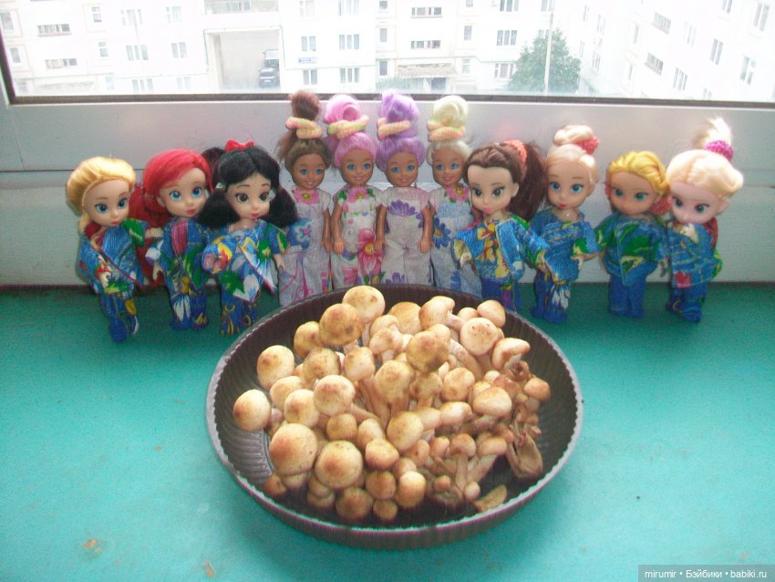 Сентябрьские поездки на дачу - 1