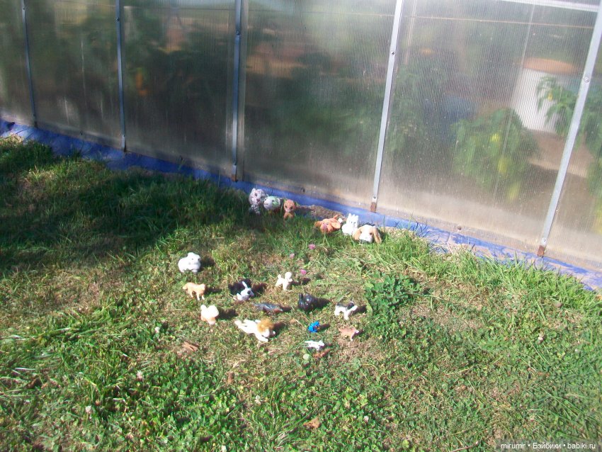 Сентябрьские поездки на дачу - 1